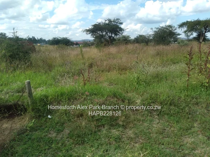 Rydale Ridge Stand On Sale