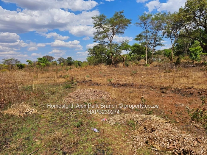 Kwekwe stand for sale