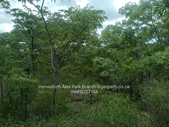 Darwendale Stand For Sale