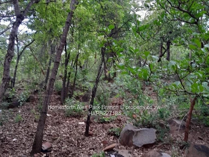 Darwendale Stand For Sale